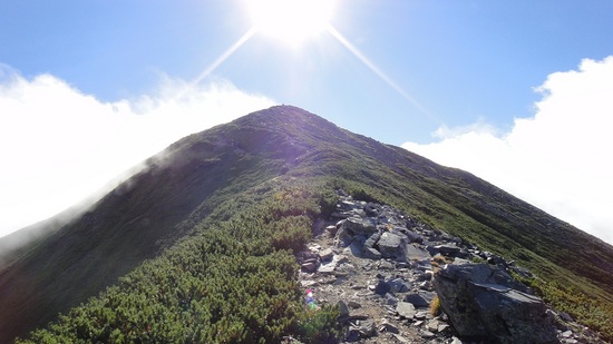 0810爺ヶ岳（南峰）への稜線.JPG